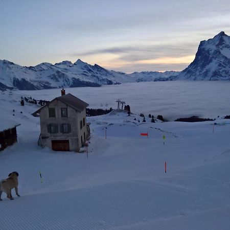 Lodge Bergrestaurant Kleine Scheidegg Eksteriør bilde