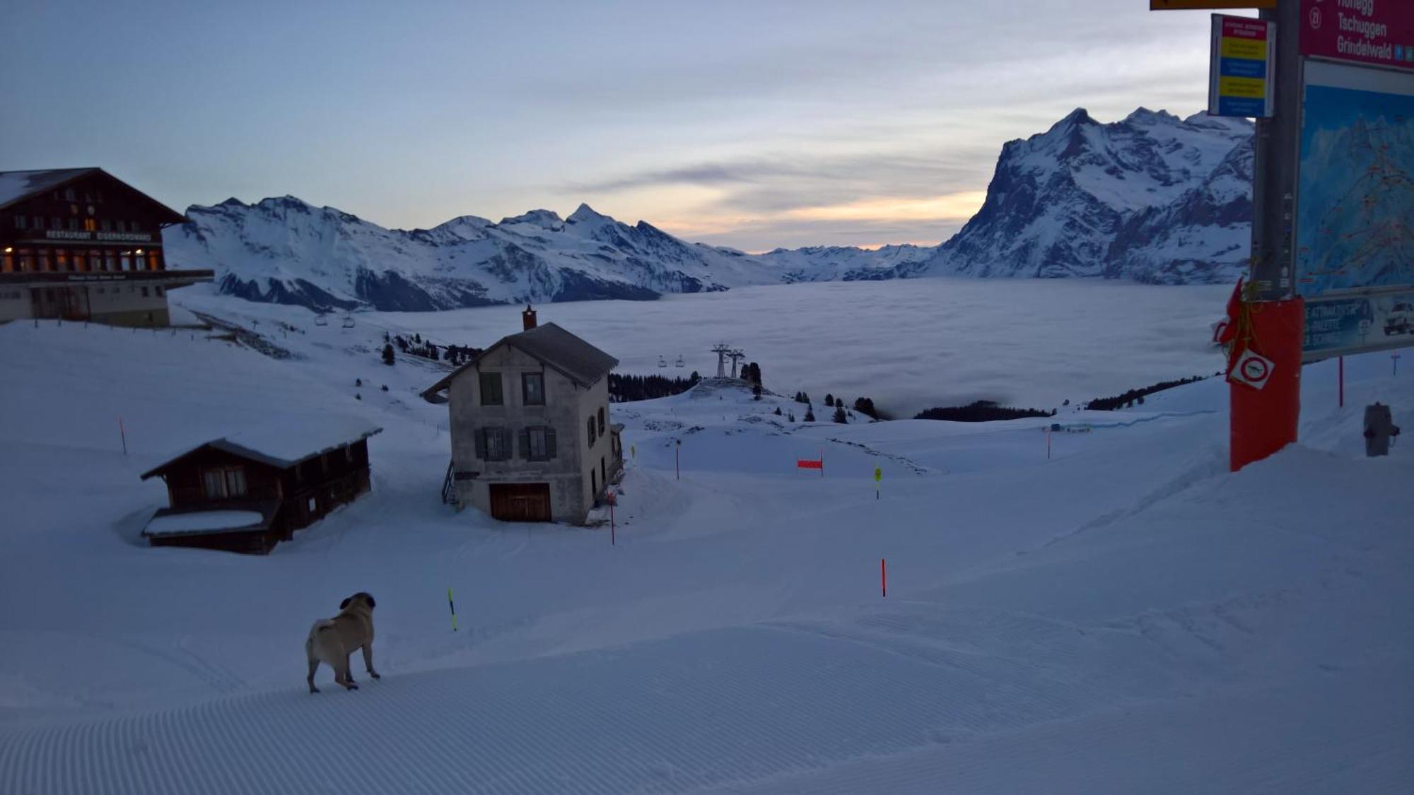 Lodge Bergrestaurant Kleine Scheidegg Eksteriør bilde