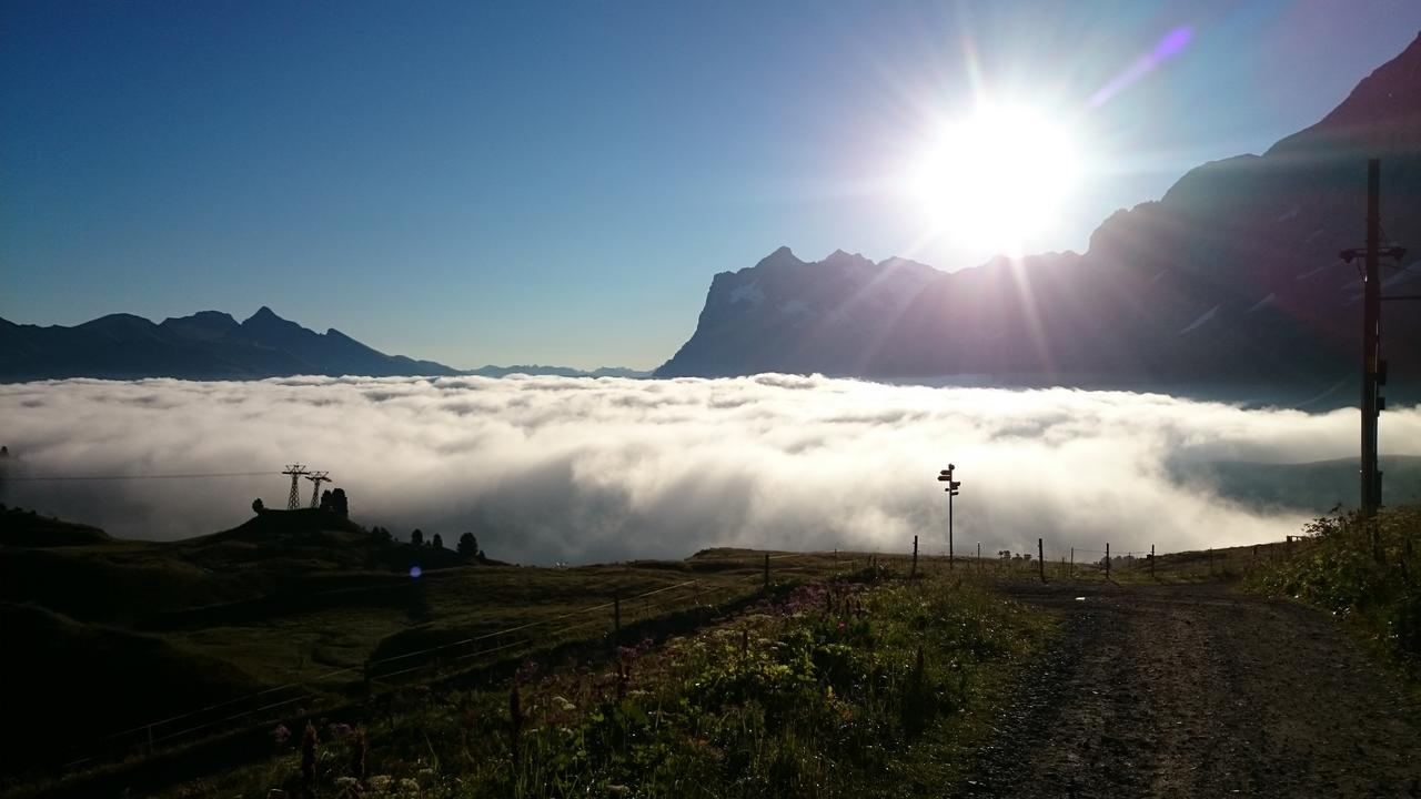 Lodge Bergrestaurant Kleine Scheidegg Eksteriør bilde