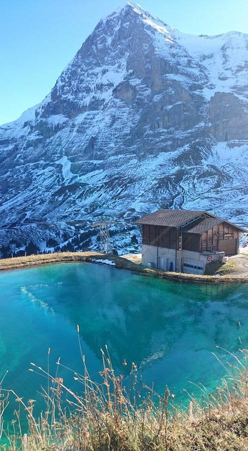 Lodge Bergrestaurant Kleine Scheidegg Eksteriør bilde